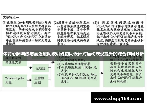 体育心肺训练与高强度间歇训练协同设计对运动表现提升的综合作用分析