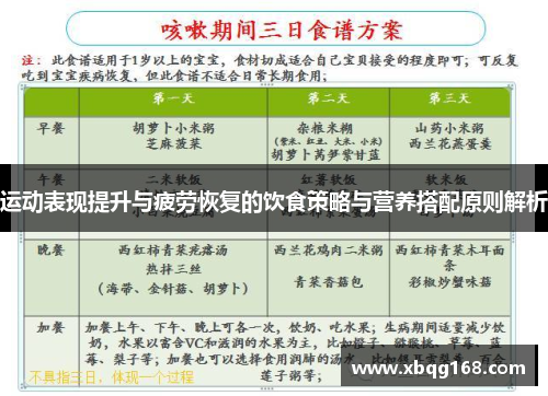 运动表现提升与疲劳恢复的饮食策略与营养搭配原则解析